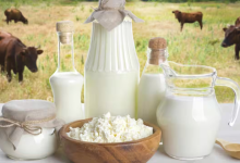 Non-veg milk