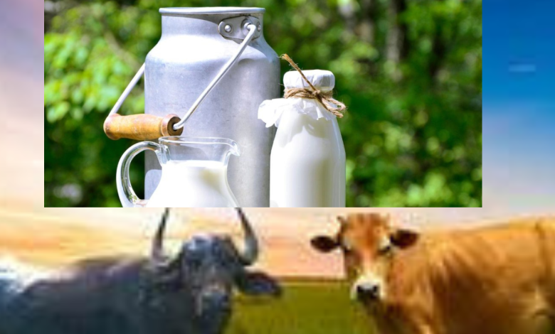 milk