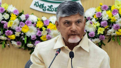 CM Chandrababu