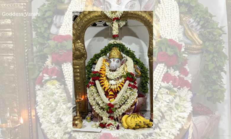 Goddess Varahi