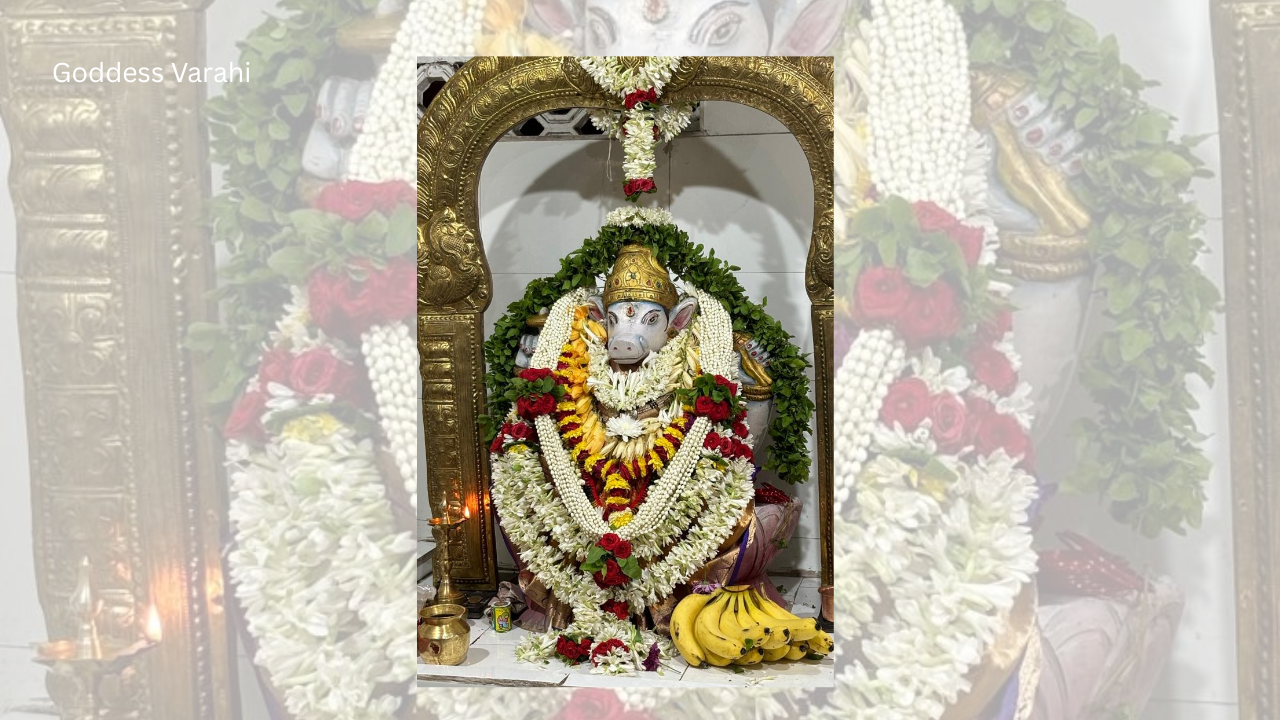 Goddess Varahi