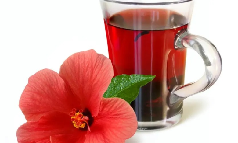 Hibiscus