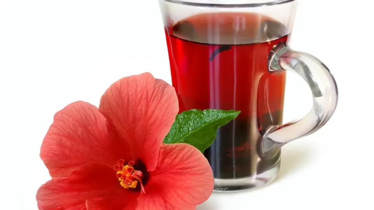 Hibiscus