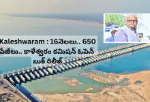 Kaleshwaram