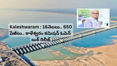 Kaleshwaram