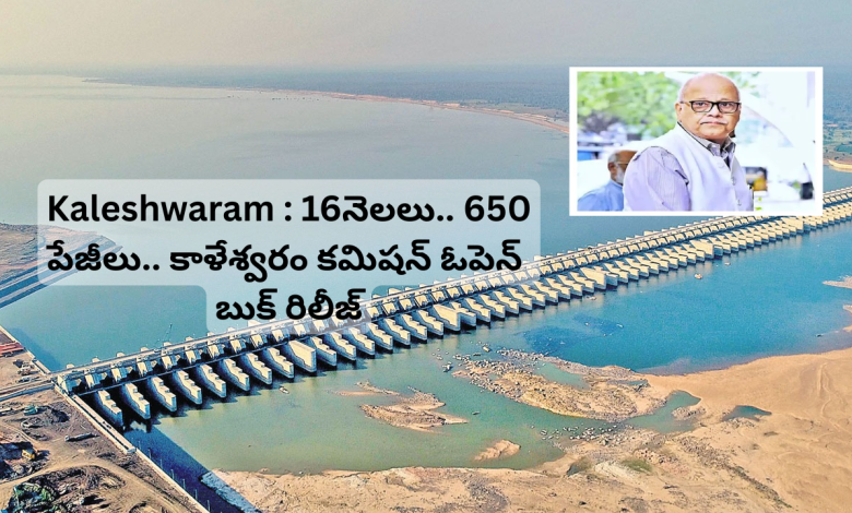 Kaleshwaram