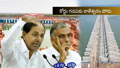 (Kaleshwaram)
