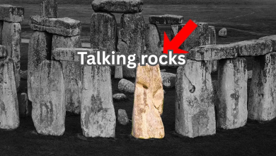 Talking rocks