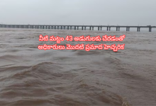 godavari