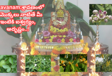 shravanam-masam-2025