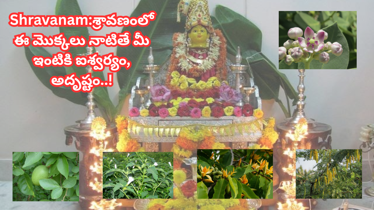 shravanam-masam-2025