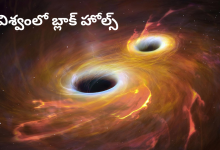 Black holes
