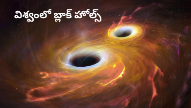 Black holes