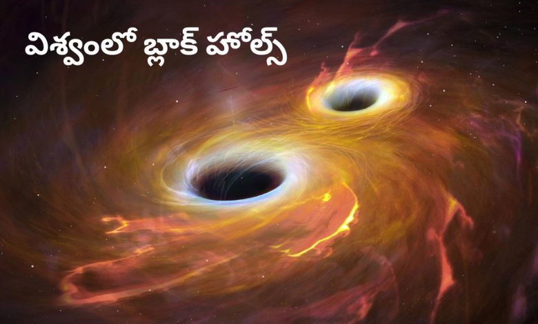 Black holes