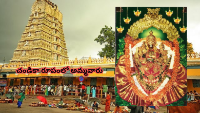 Chamundeshwari