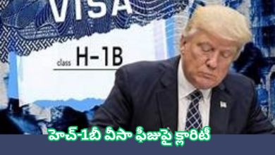 H-1B visa