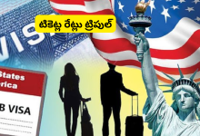 H-1B visa