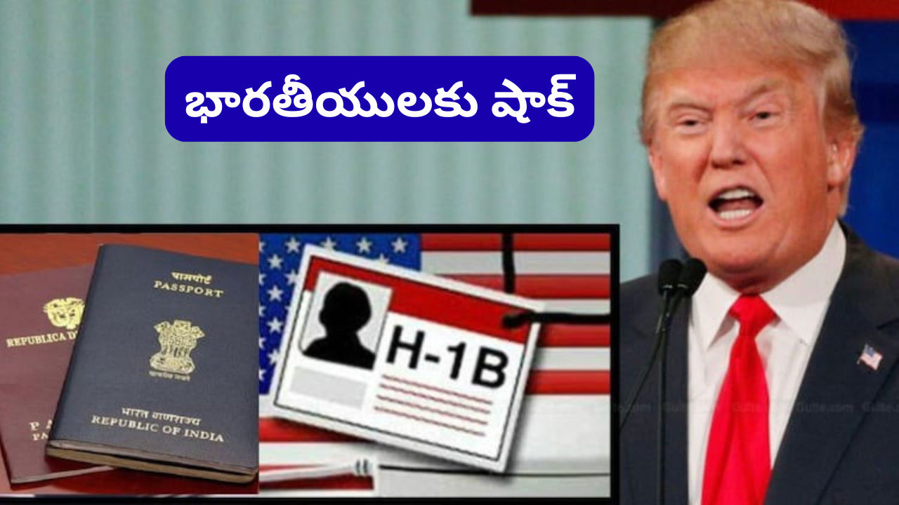H-1B