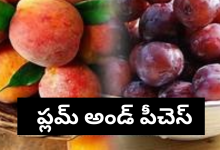 Plums and Peaches