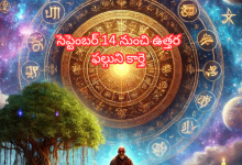 Uttara Falguni Karte