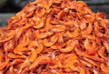 dried shrimp