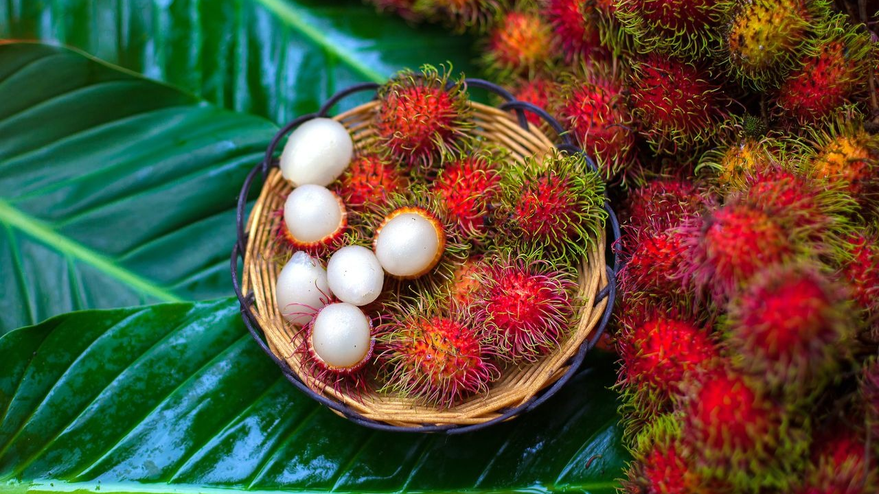 rambutan