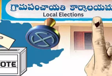 Local Elections