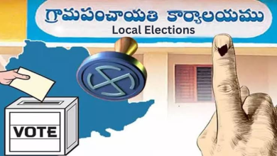 Local Elections
