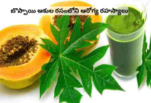 Papaya leaf juice