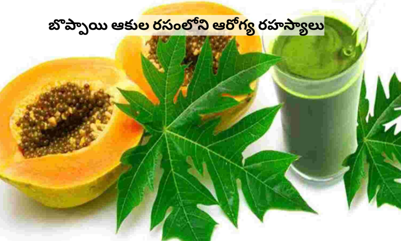 Papaya leaf juice