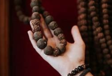 Rudraksha
