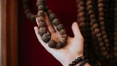 Rudraksha
