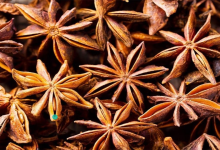 Star Anise
