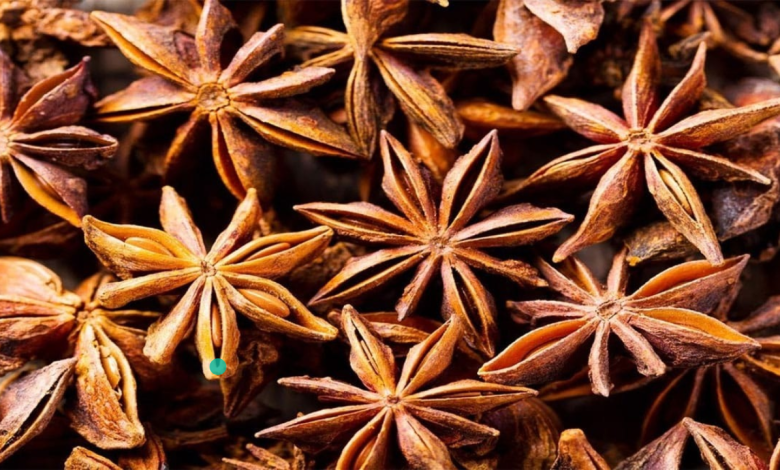 Star Anise