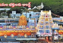 Tirumala