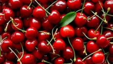 cherries
