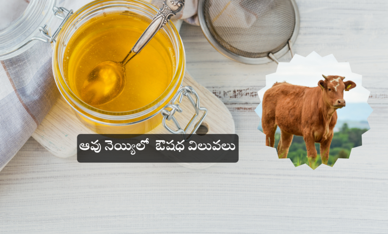 Cow Ghee