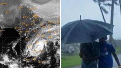 Cyclone Alert
