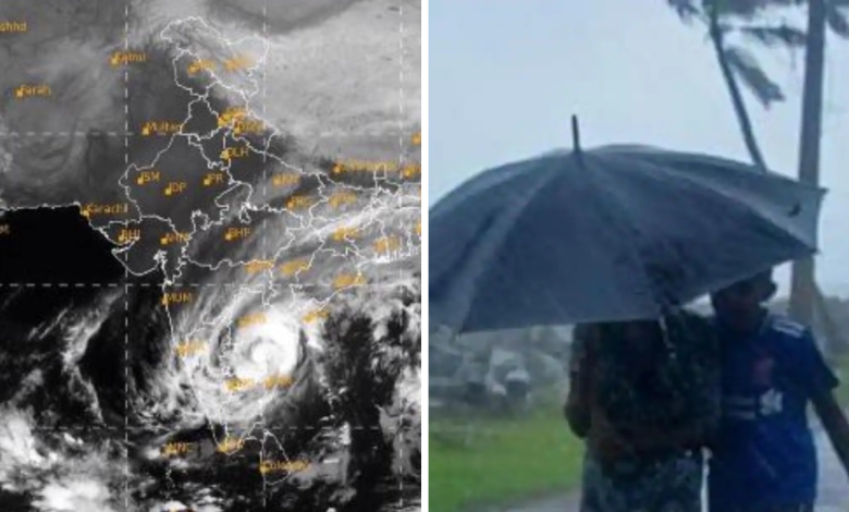 Cyclone Alert
