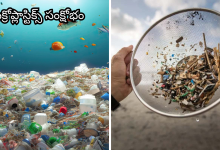 Plastic pollution