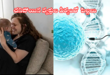 Sperm of dead people