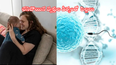 Sperm of dead people