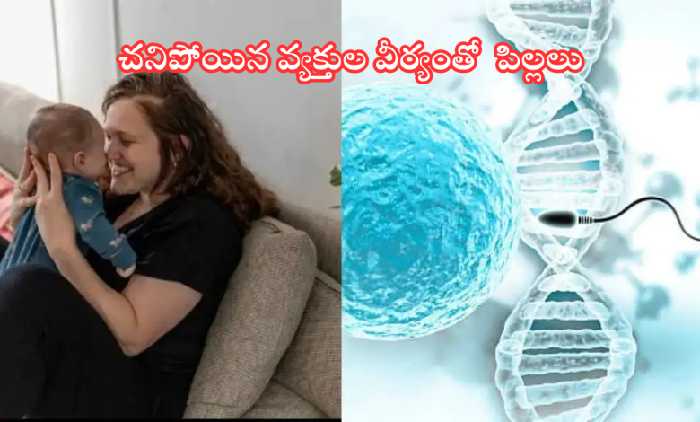 Sperm of dead people