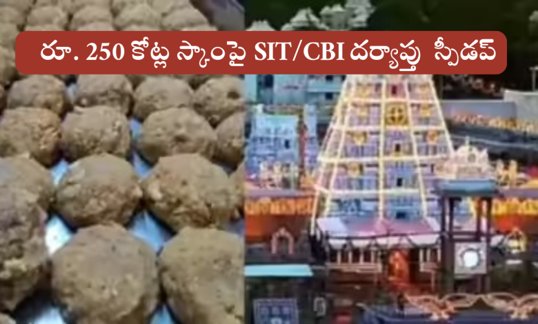 Tirumala laddu
