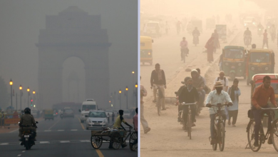 Delhi Pollution