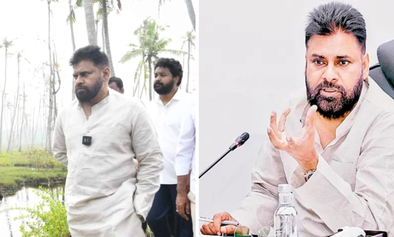 Deputy CM Pawan Kalyan