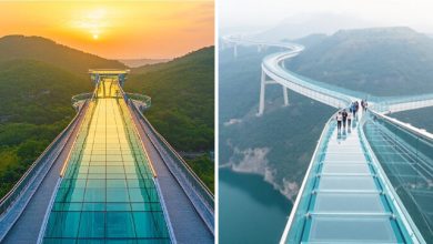 Glass Bridge