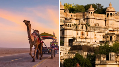 New-Year-pandicheri-rajasthan