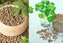 Coriander Water