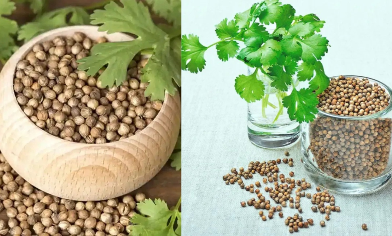 Coriander Water